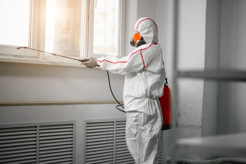 Professional mold remediation services in Grapevine, TX
